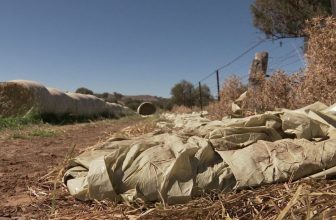 Tools To Tackle the Waste -“Solution To Farm Fires”