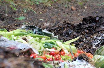 Pollutants in Composting, Myths and Facts!