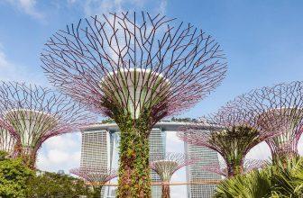 Sustainable Future Buildings