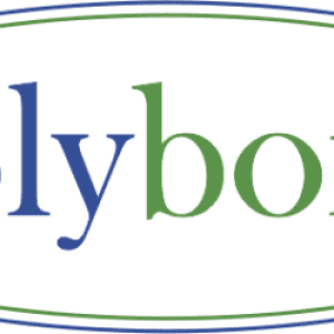 Consultancy on Thermal Insulation products by Polybond Insulation