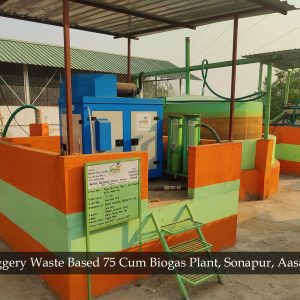 Biogas Solutions